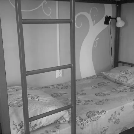Hostel Hostel N1 *